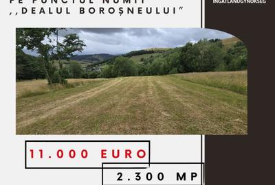 Teren extravilan de 2300 mp, în Sărămaș