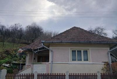 Casă cu 2 camere în Solomon - 2
