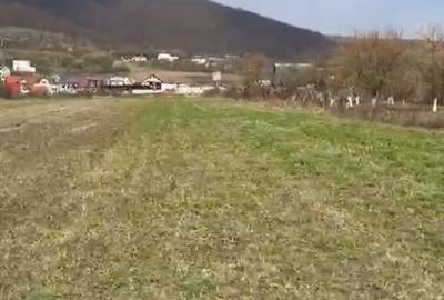 Teren de 2300 mp, în Viișoara - 5
