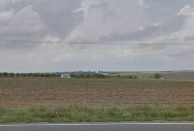 Teren Construcții extravilan de 25000 mp, în Mihail Kogălniceanu - 2