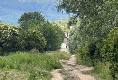 Teren agricol extravilan de 8127 mp, în Salatiu - 4