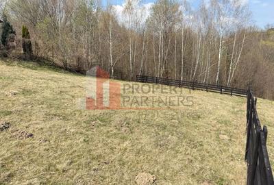 Teren Construcții intravilan de 1200 mp, în Bran - 13