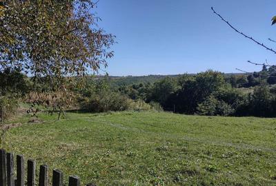 Casă cu 2 camere în Mărcești - 7