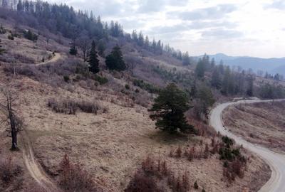 Teren Construcții intravilan de 1751 mp, în Scăricica - 3
