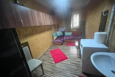 Garsonieră semidecomandată în Valea Rosie - 4