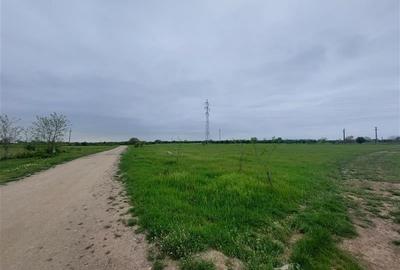 Teren agricol intravilan de 80000 mp, în Grădiște - 5