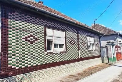 Casă cu 3 camere cu Teren 1430 Mp în Socodor - 4