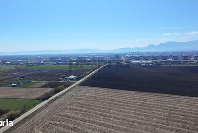 Teren de 6400 mp, în Stupini
