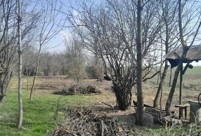 Teren de 5000 mp, în Albeni - 2