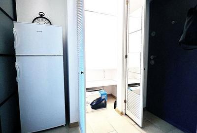 Apartament cu 2 camere, mobilat în Tei - 8