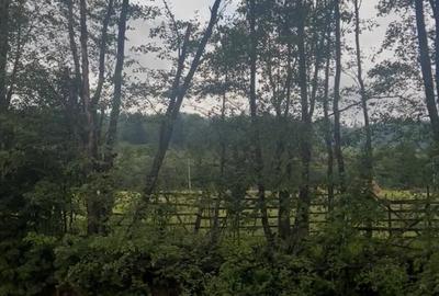 Teren de 2000 mp, în Neagra - 3