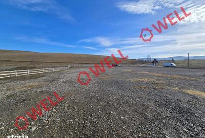 Teren de 6837 mp, în Barcani - 4