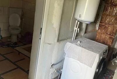 Casă cu 4 camere cu Teren 111111 Mp în Manasia - 3