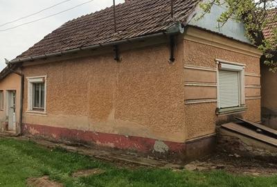 Casă cu 2 camere în Albiș