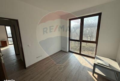 Casă cu 4 camere cu Teren 1190 Mp în Podgoria - 8