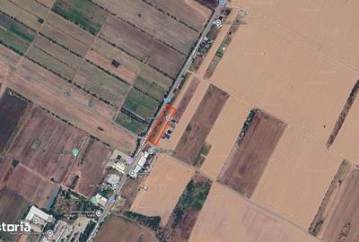 Teren de 5000 mp, în Vidra