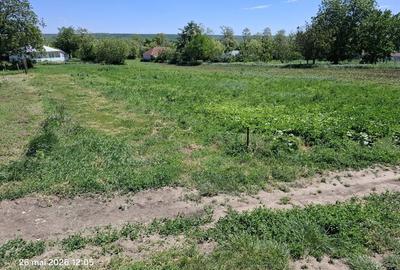 Teren de 1500 mp, în Trușești - 7