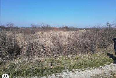 Teren de 1000 mp, în Viile Satu Mare