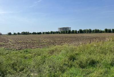 Teren Construcții intravilan de 9400 mp, în Palanca - 1