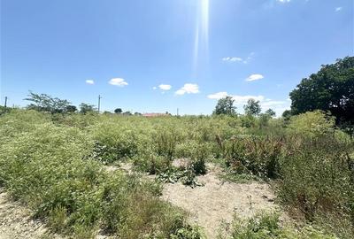 Teren Construcții intravilan de 1700 mp, în Amzacea - 3