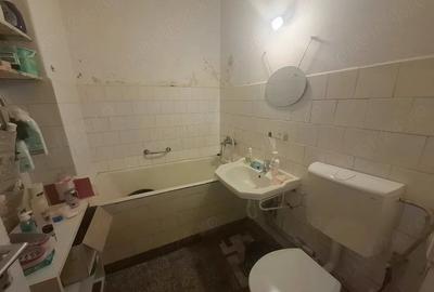 Apartament cu 2 camere semidecomandat în Săsar