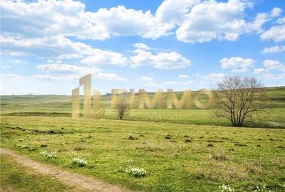 Teren de 5811 mp, în Bosanci