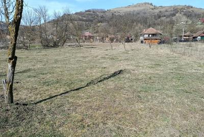 Teren de 14800 mp, în Central