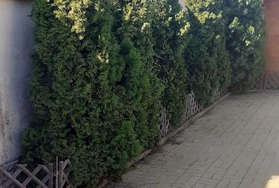 Casă cu Teren 690 Mp în Pârneava