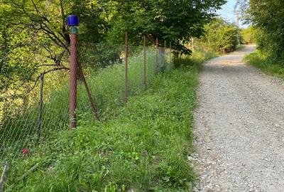 Teren de 5086 mp, în Săcelu - 2