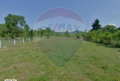Casă cu 4 camere decomandat cu Teren 2732 Mp în Câmpulung la Tisa - 4