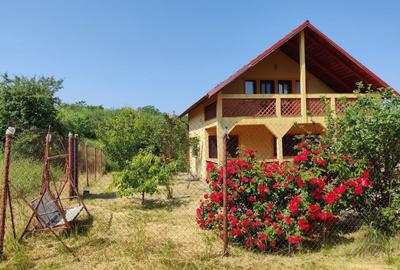 Casă individuală cu 3 camere cu Canalizare în Deușu - 3