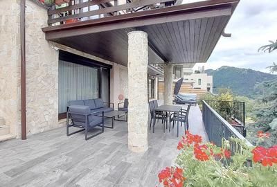 Apartament cu 3 camere decomandat, mobilat în Drumul Poienii - 16