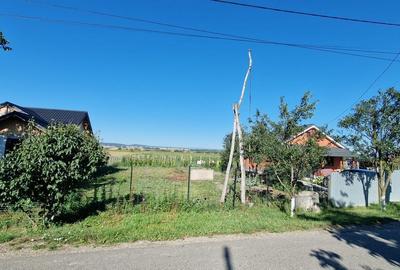 Spațiu comercial, în Siretu - 1
