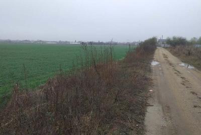 Teren de 2406 mp, în 1 Decembrie - 1