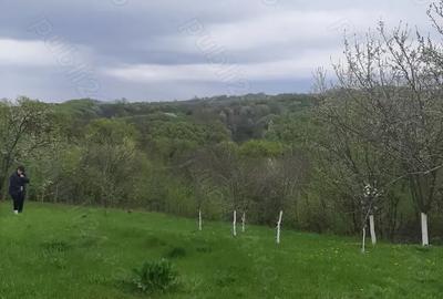 Teren în Seciu - 4