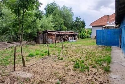 Casă cu 4 camere cu Teren 1315 Mp în Mănăstireni
