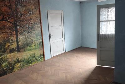 Casă cu Teren 1335 Mp în Săvinești - 9