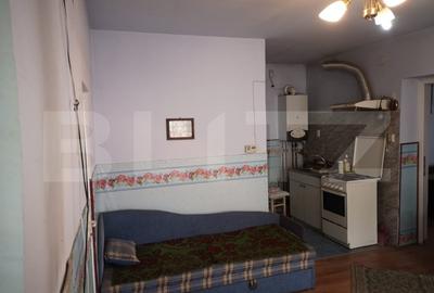 Casă individuală cu 1 camere cu Canalizare în Someșeni - 10