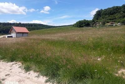 Teren de 1584 mp, în Vulcan - 8