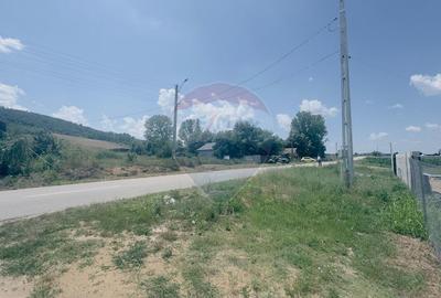 Teren Construcții intravilan de 3700 mp, în Coțofenii din Dos - 6