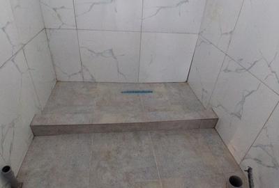 Casă cu 3 camere în Gura Vadului