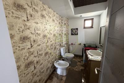 Casă individuală cu 4 camere cu Canalizare în Bariera Vâlcii - 7