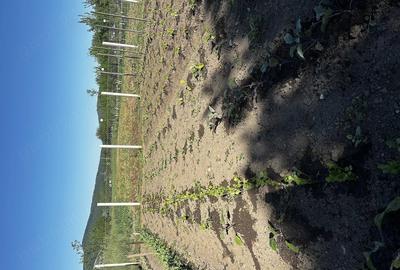 Casă cu 3 camere cu Teren 30 Mp în Salatiu