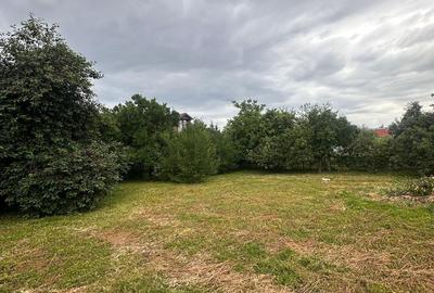 Casă cu 3 camere cu Teren 1300 Mp în Central