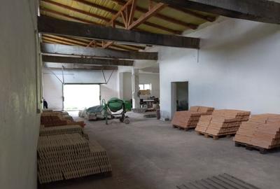 Spațiu industrial, de 500 mp, în Acâș