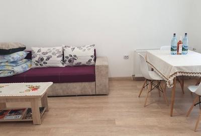 Casă cu 2 camere în Dosu Bricii - 2