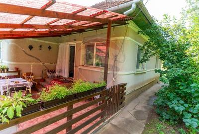 Casă individuală cu 3 camere cu Teren 9995 Mp în Ormindea - 32