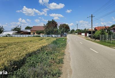 Teren de 15000 mp, în Central - 10