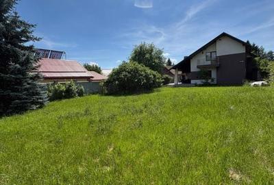 Casă cu 4 camere cu Teren 1039 Mp în Griviței - 6