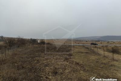 Teren Construcții intravilan de 1131 mp, în Chinteni - 5